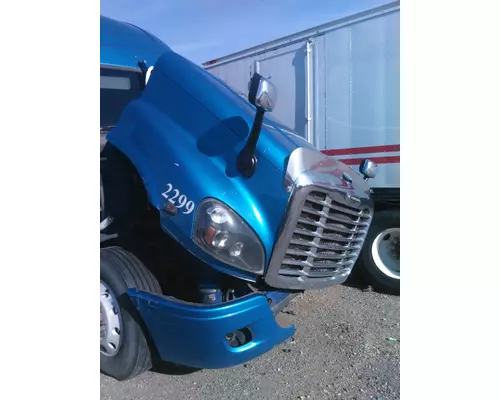 FREIGHTLINER CASCADIA 125 2008-2020 HOOD