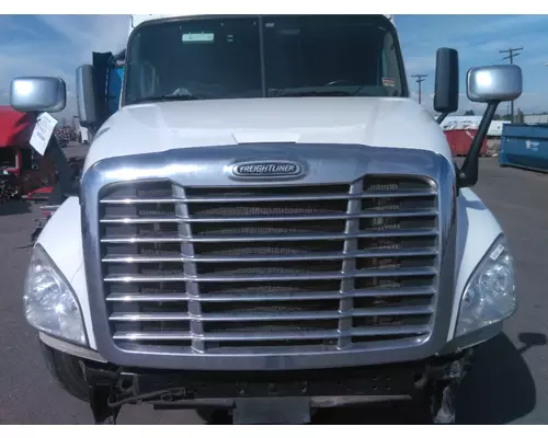 FREIGHTLINER CASCADIA 125 2008-2020 HOOD