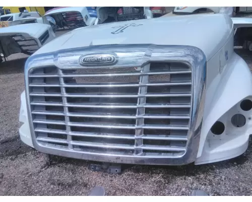 FREIGHTLINER CASCADIA 125 2008-2020 HOOD