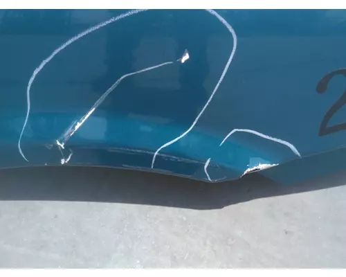 FREIGHTLINER CASCADIA 125 2008-2020 HOOD