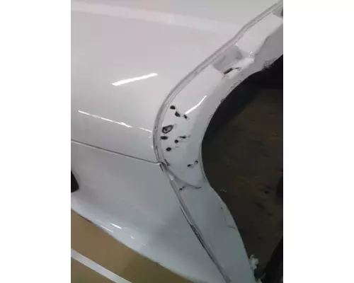 FREIGHTLINER CASCADIA 125 2008-2020 HOOD