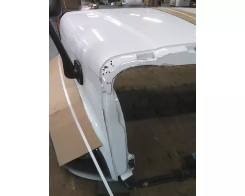 FREIGHTLINER CASCADIA 125 2008-2020 HOOD