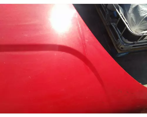 FREIGHTLINER CASCADIA 125 2008-2020 HOOD