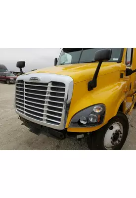 FREIGHTLINER CASCADIA 125 2008-2020 HOOD