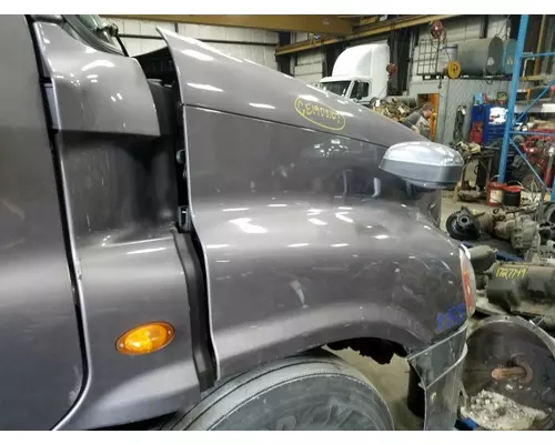 FREIGHTLINER CASCADIA 125 2008-2020 HOOD