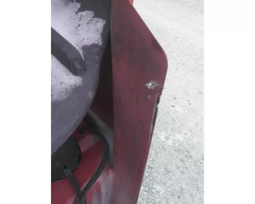 FREIGHTLINER CASCADIA 125 2008-2020 HOOD