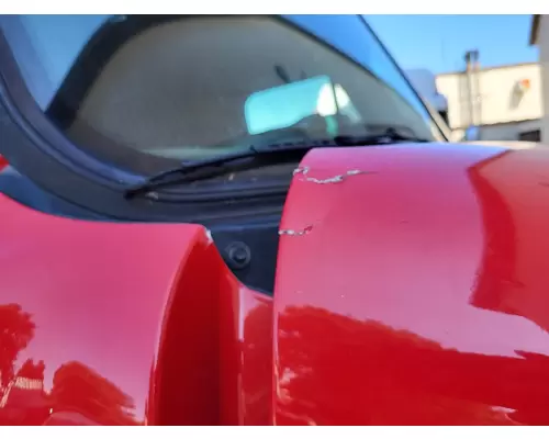 FREIGHTLINER CASCADIA 125 2008-2020 HOOD
