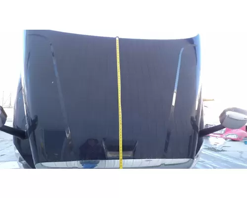 FREIGHTLINER CASCADIA 125 2008-2020 HOOD