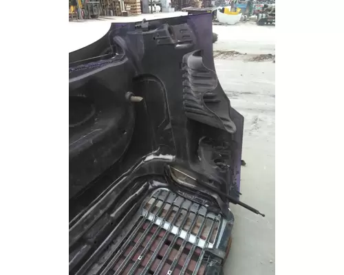 FREIGHTLINER CASCADIA 125 2008-2020 HOOD