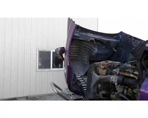 FREIGHTLINER CASCADIA 125 2008-2020 HOOD