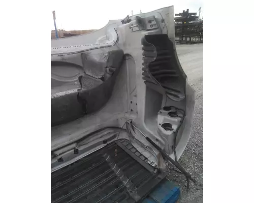 FREIGHTLINER CASCADIA 125 2008-2020 HOOD
