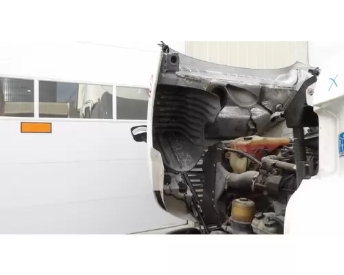 FREIGHTLINER CASCADIA 125 2008-2020 HOOD