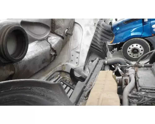 FREIGHTLINER CASCADIA 125 2008-2020 HOOD