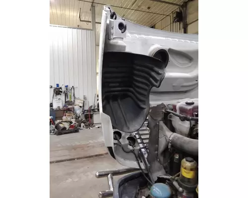 FREIGHTLINER CASCADIA 125 2008-2020 HOOD