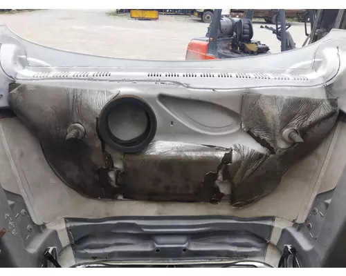 FREIGHTLINER CASCADIA 125 2008-2020 HOOD