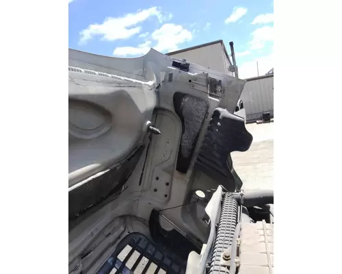 FREIGHTLINER CASCADIA 125 2008-2020 HOOD