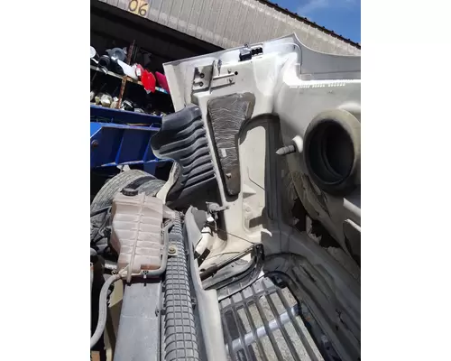 FREIGHTLINER CASCADIA 125 2008-2020 HOOD