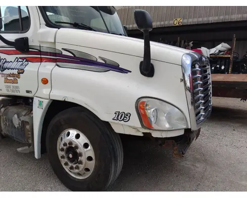 FREIGHTLINER CASCADIA 125 2008-2020 HOOD