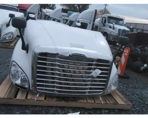 FREIGHTLINER CASCADIA 125 2008-2020 HOOD