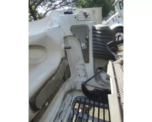 FREIGHTLINER CASCADIA 125 2008-2020 HOOD