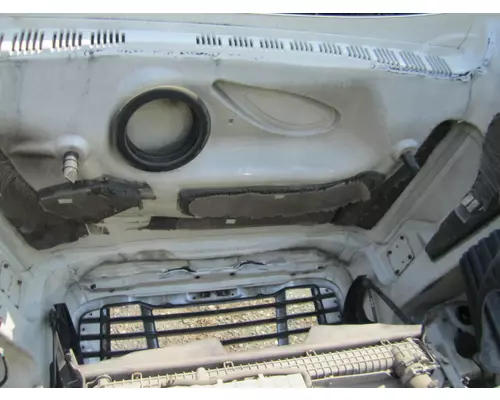 FREIGHTLINER CASCADIA 125 2008-2020 HOOD