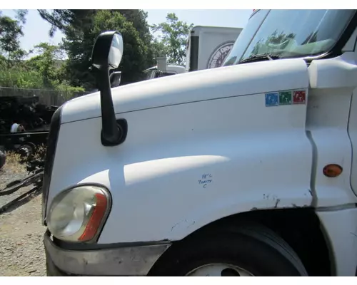 FREIGHTLINER CASCADIA 125 2008-2020 HOOD