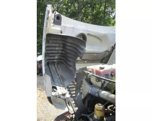 FREIGHTLINER CASCADIA 125 2008-2020 HOOD