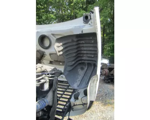FREIGHTLINER CASCADIA 125 2008-2020 HOOD