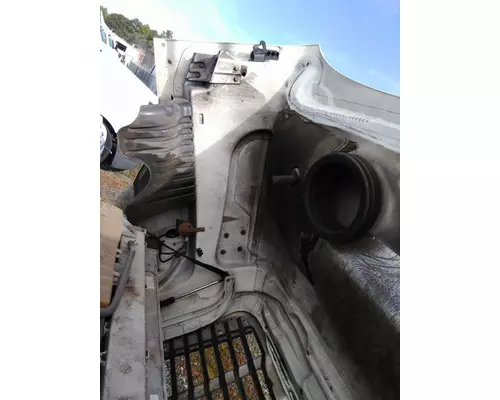 FREIGHTLINER CASCADIA 125 2008-2020 HOOD