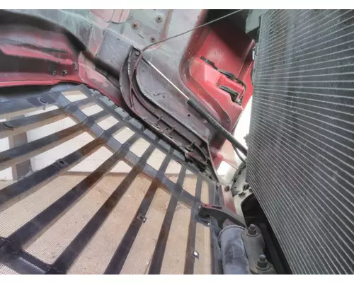 FREIGHTLINER CASCADIA 125 2008-2020 HOOD