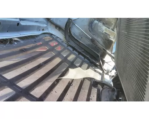 FREIGHTLINER CASCADIA 125 2008-2020 HOOD