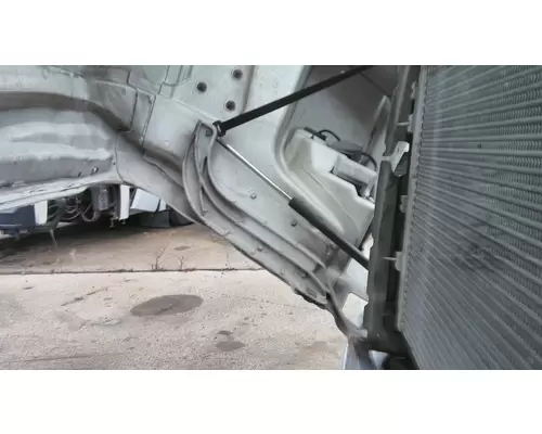 FREIGHTLINER CASCADIA 125 2008-2020 HOOD