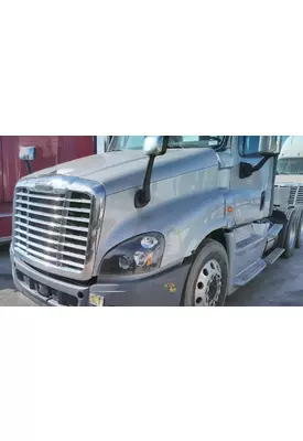 FREIGHTLINER CASCADIA 125 2008-2020 HOOD
