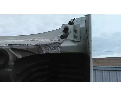 FREIGHTLINER CASCADIA 125 2008-2020 HOOD