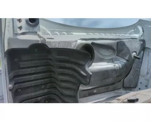 FREIGHTLINER CASCADIA 125 2008-2020 HOOD