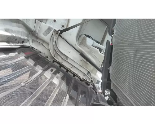 FREIGHTLINER CASCADIA 125 2008-2020 HOOD