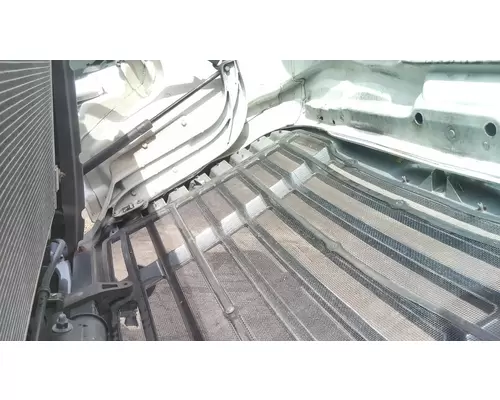 FREIGHTLINER CASCADIA 125 2008-2020 HOOD