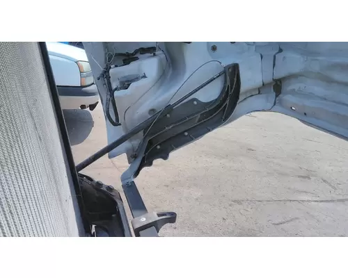 FREIGHTLINER CASCADIA 125 2008-2020 HOOD