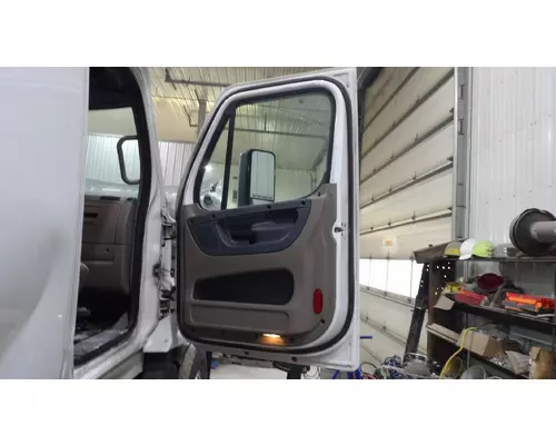 FREIGHTLINER CASCADIA 125 2018UP DOOR ASSEMBLY, FRONT