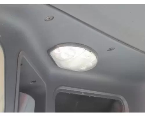 FREIGHTLINER CASCADIA 125 2018UP INTERIOR CAB LIGHT