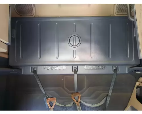FREIGHTLINER CASCADIA 125 2018UP SLEEPER BUNK
