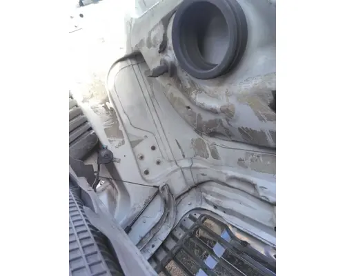 FREIGHTLINER CASCADIA 125 EVOLUTION HOOD