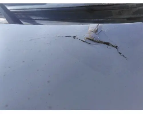 FREIGHTLINER CASCADIA 125 EVOLUTION HOOD