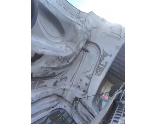 FREIGHTLINER CASCADIA 125 EVOLUTION HOOD