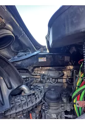 FREIGHTLINER CASCADIA 125 AIR CLEANER