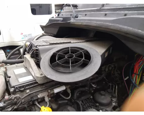 FREIGHTLINER CASCADIA 125 AIR CLEANER
