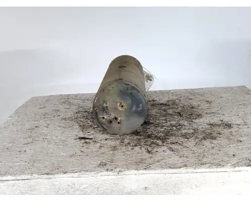 FREIGHTLINER CASCADIA 125 AIR TANK