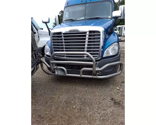 FREIGHTLINER CASCADIA 125 BUMPER BRUSH GUARD