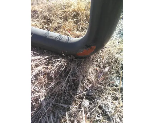 FREIGHTLINER CASCADIA 125 BUMPER BRUSH GUARD