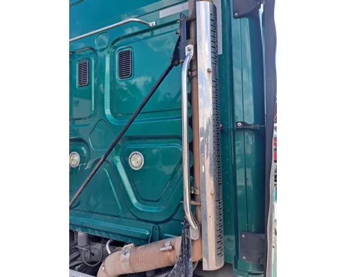 FREIGHTLINER CASCADIA 125 CAB HANDLE